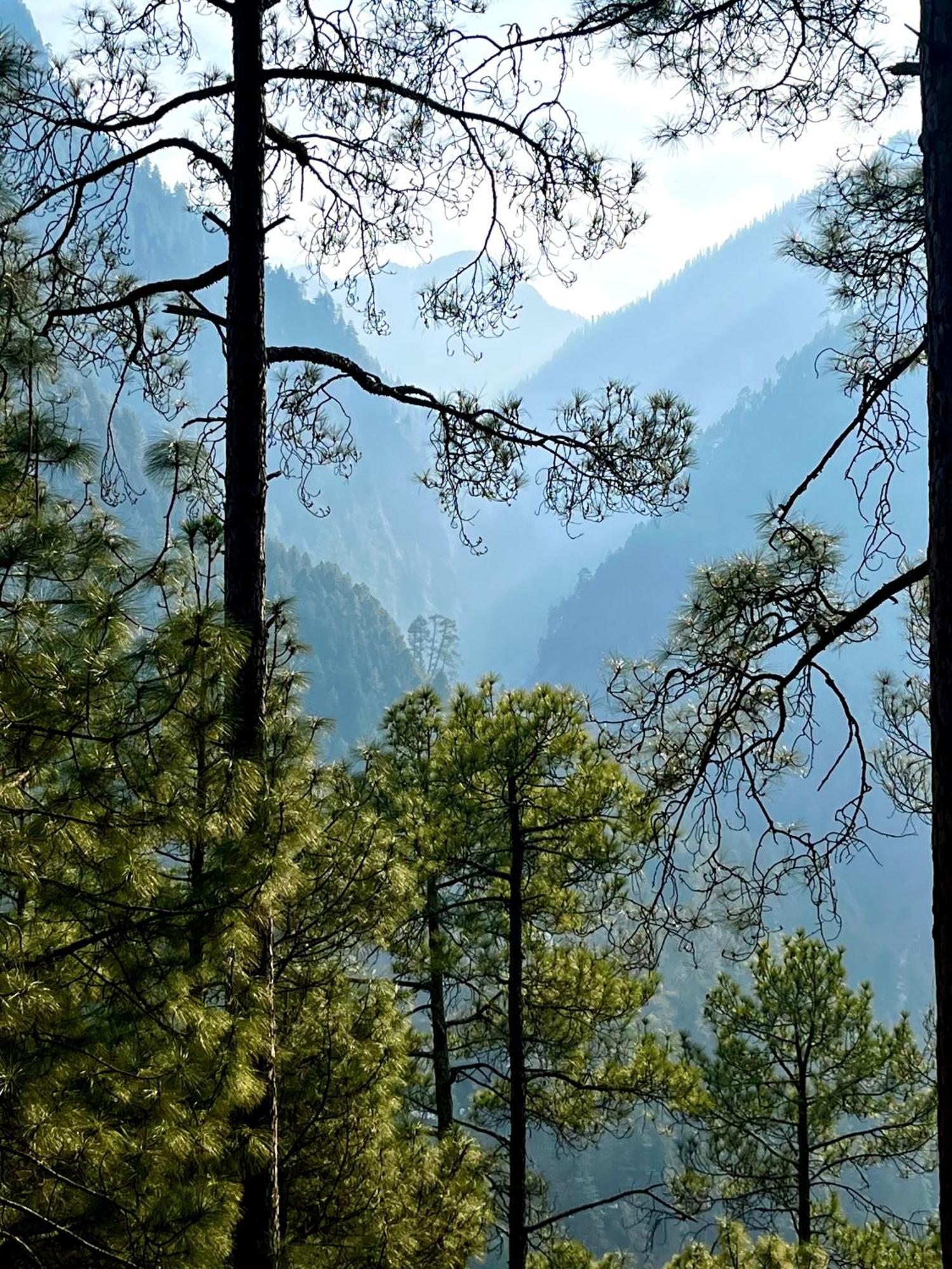 Hotel Adinova Kasol Exterior photo